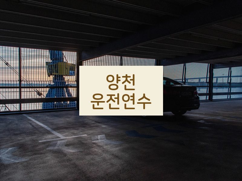 양천운전연수 후기