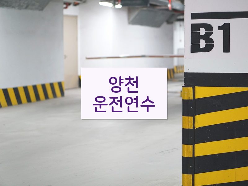 양천운전연수 후기