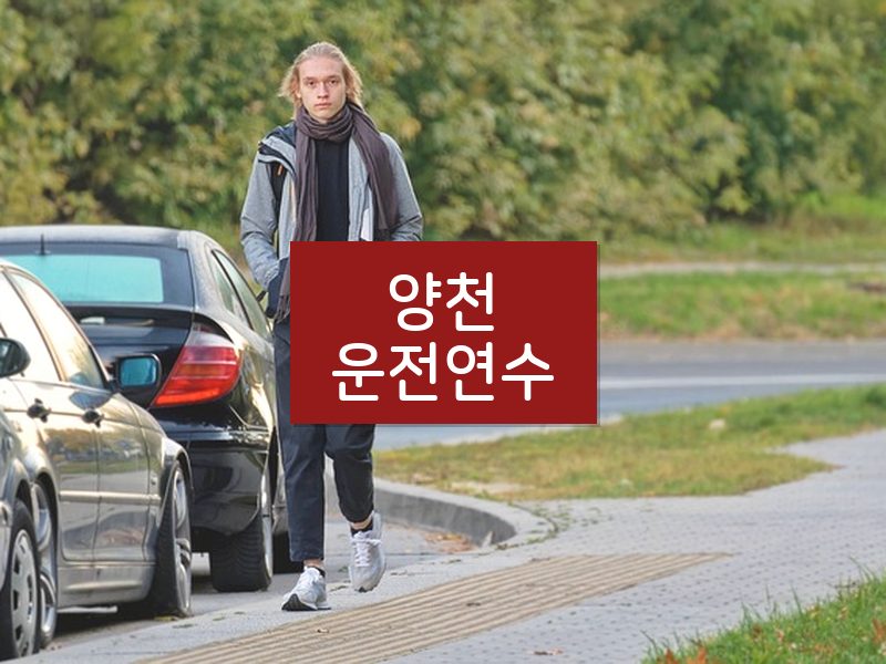양천운전연수 후기