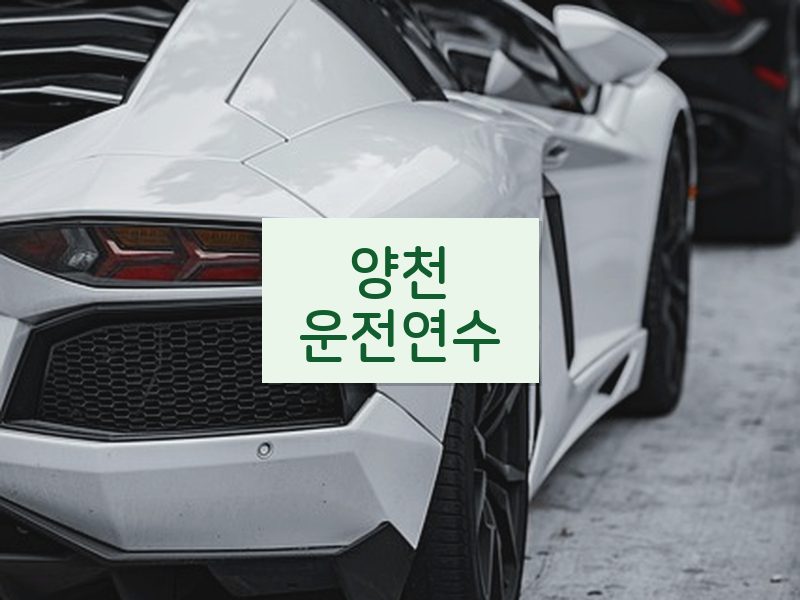 양천운전연수 후기