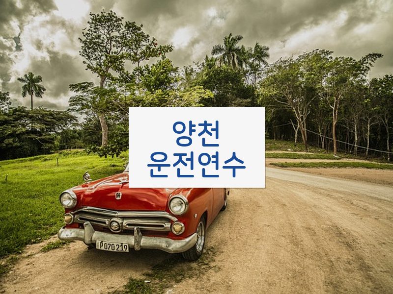 양천운전연수 후기
