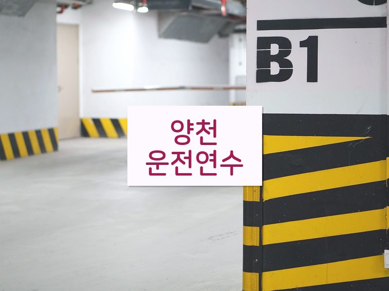양천운전연수 후기