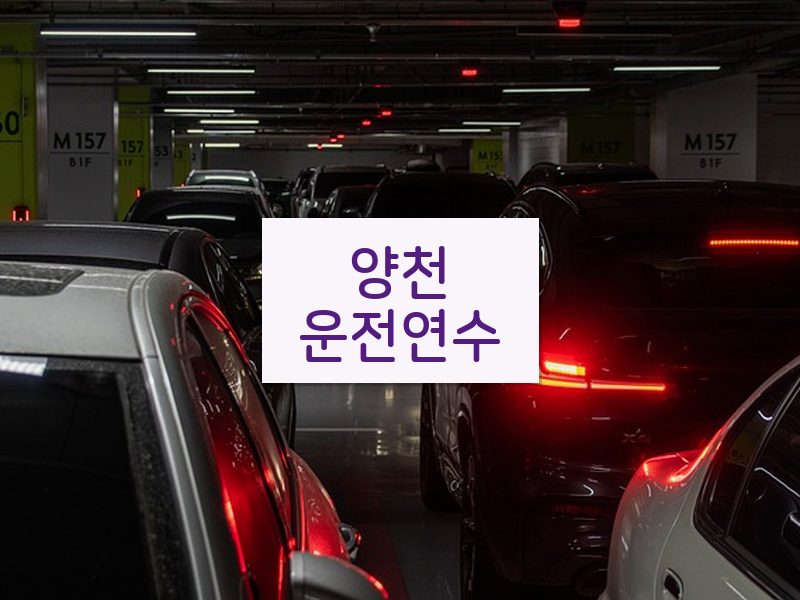 양천운전연수 후기
