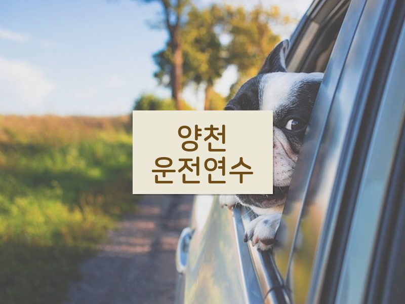 양천운전연수 후기