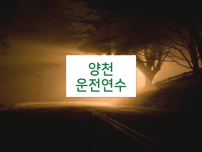 양천운전연수 후기