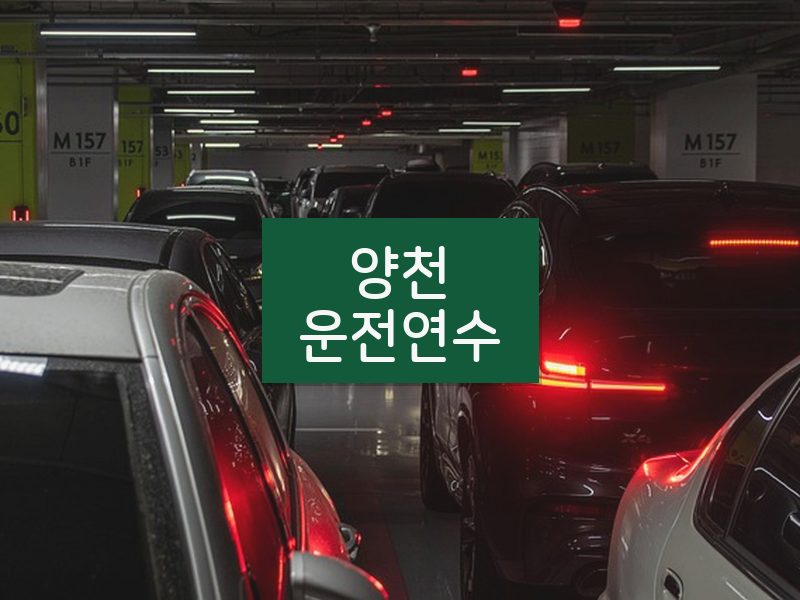 양천운전연수 후기