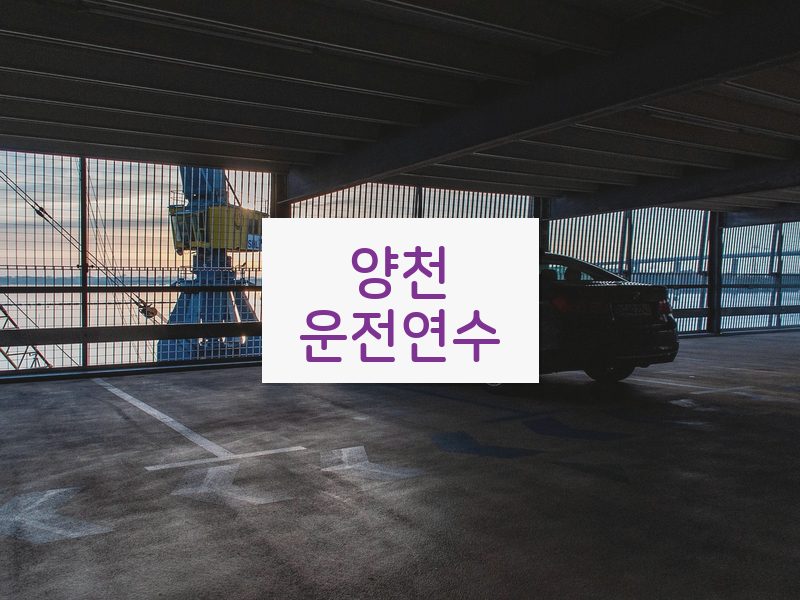 양천운전연수 후기