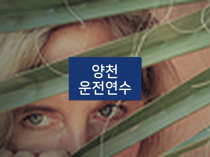 양천운전연수 후기