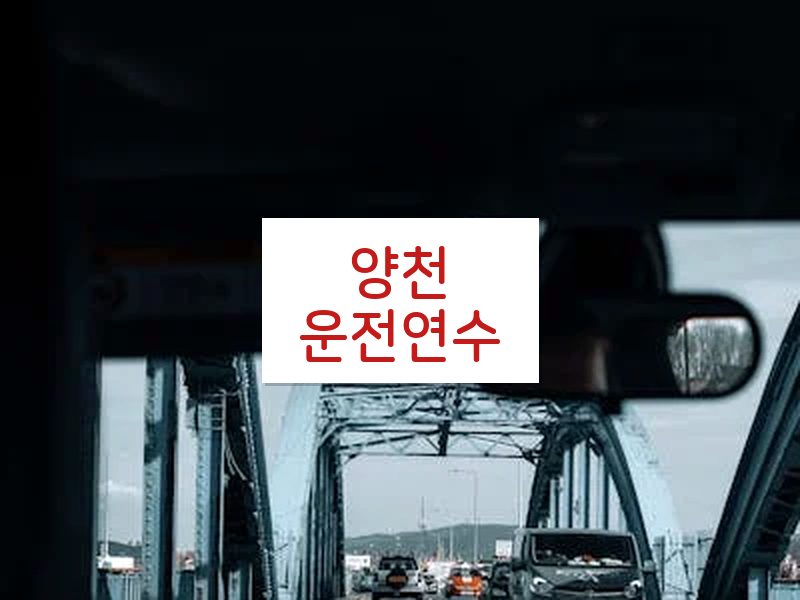 양천운전연수 후기