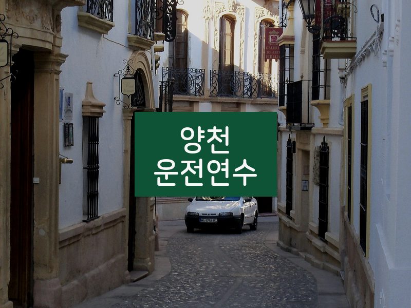 양천운전연수 후기