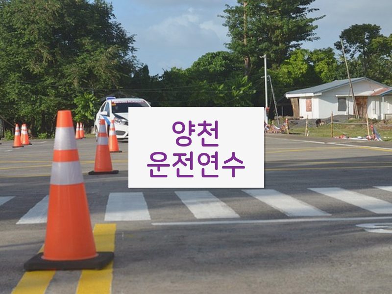 양천운전연수 후기