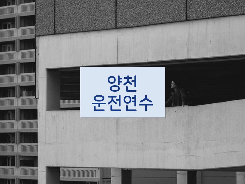 양천운전연수 후기