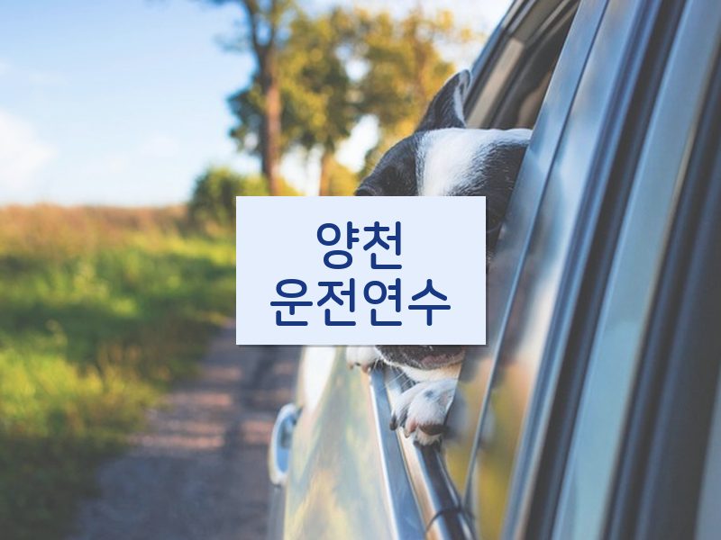 양천운전연수 후기