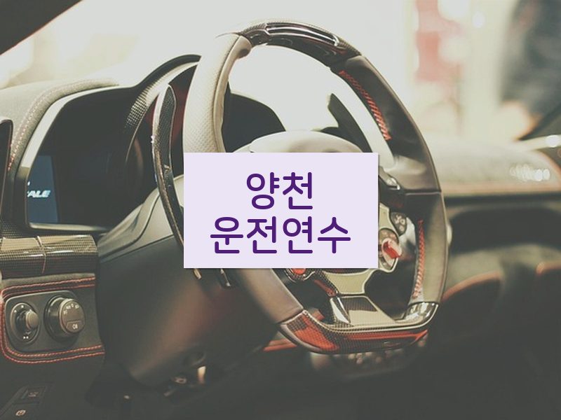 양천운전연수 후기