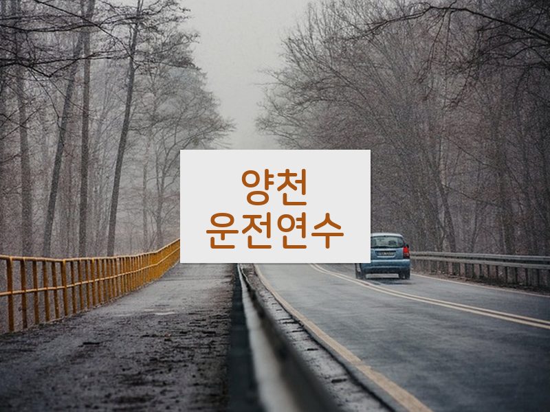 양천운전연수 후기
