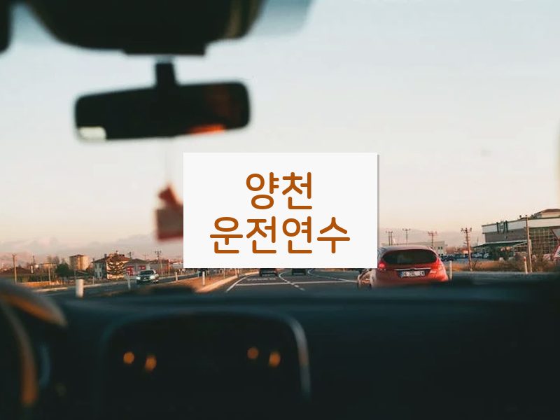 양천운전연수 후기