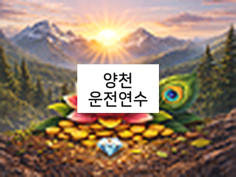 양천운전연수 후기