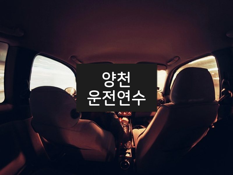 양천운전연수 후기