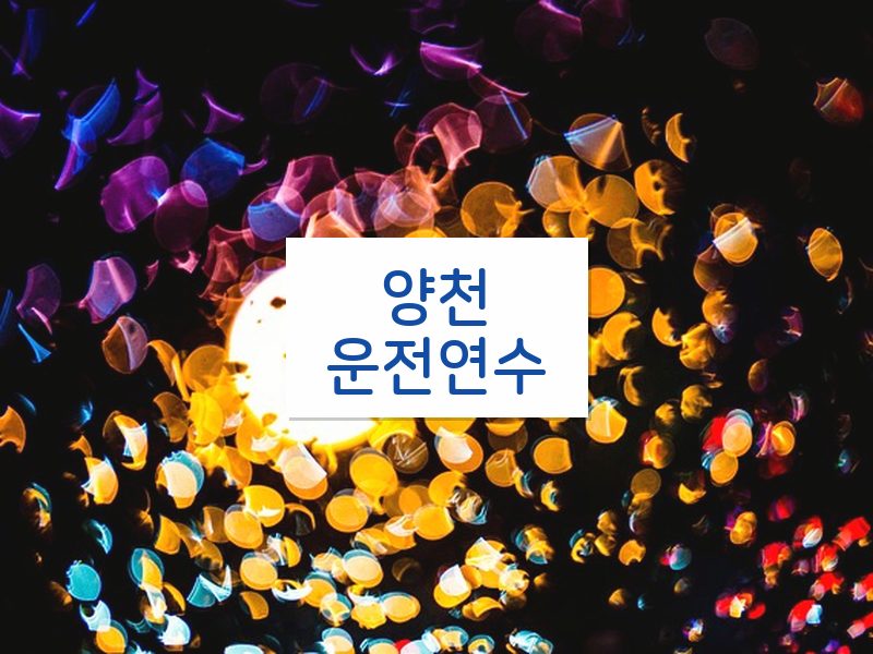양천운전연수 후기