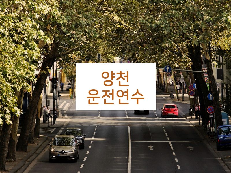 양천운전연수 후기