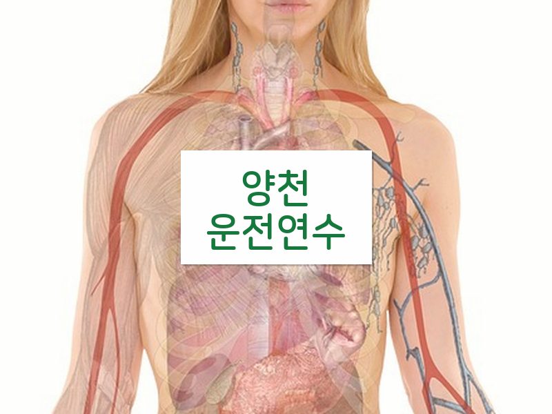 양천운전연수 후기