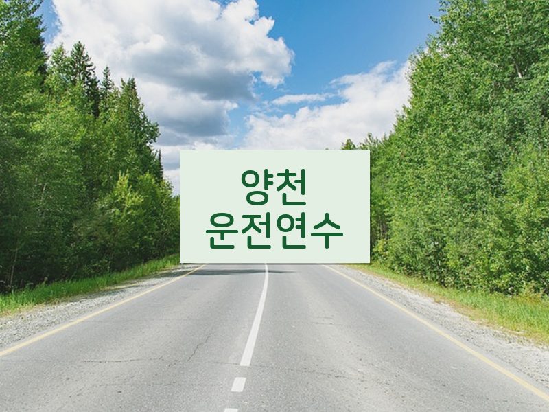 양천운전연수 후기