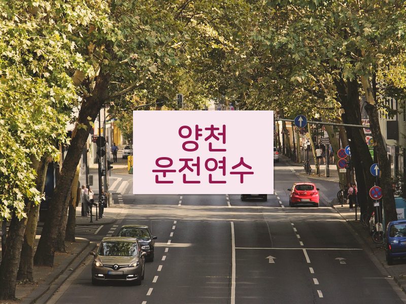 양천운전연수 후기
