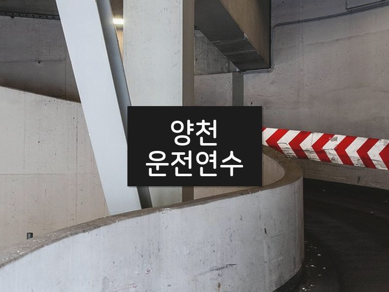 양천운전연수 후기