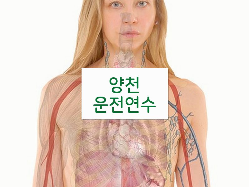 양천운전연수 후기