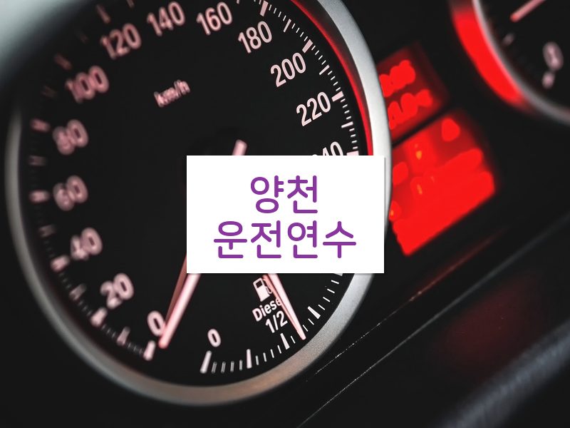 양천운전연수 후기