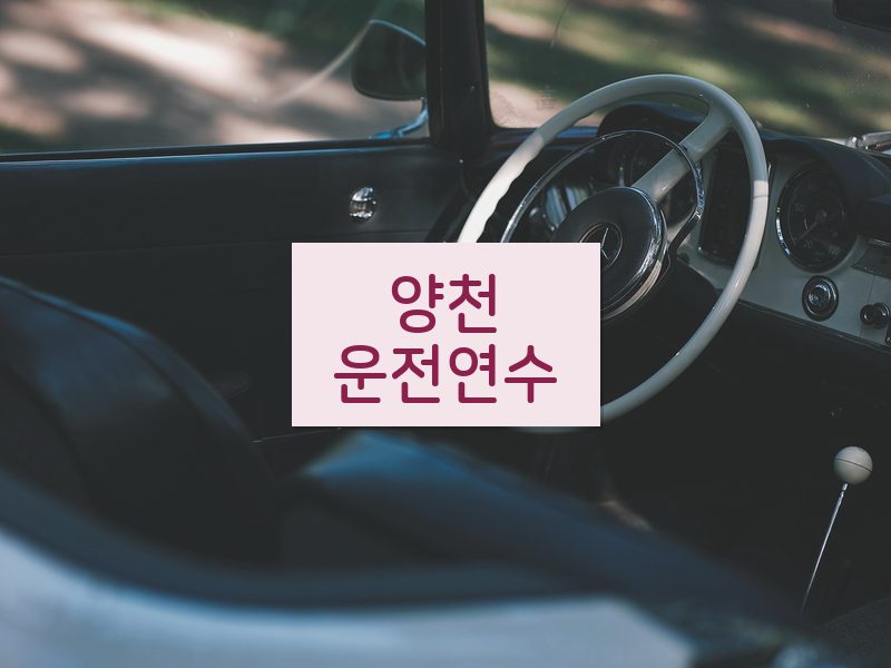 양천운전연수 후기