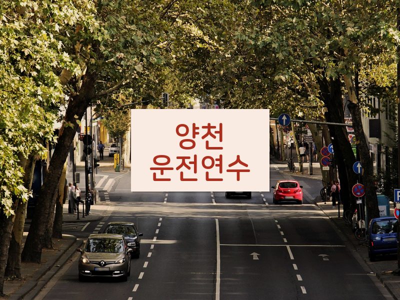 양천운전연수 후기