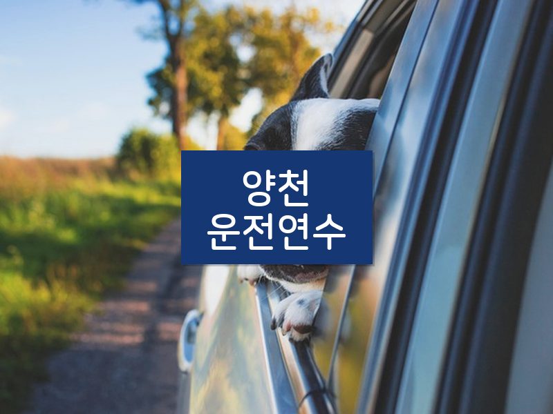 양천운전연수 후기