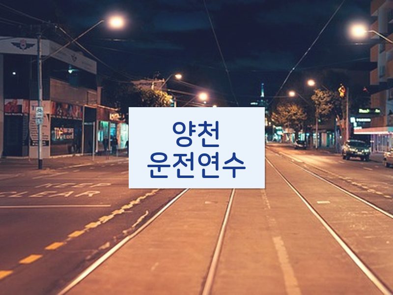 양천운전연수 후기