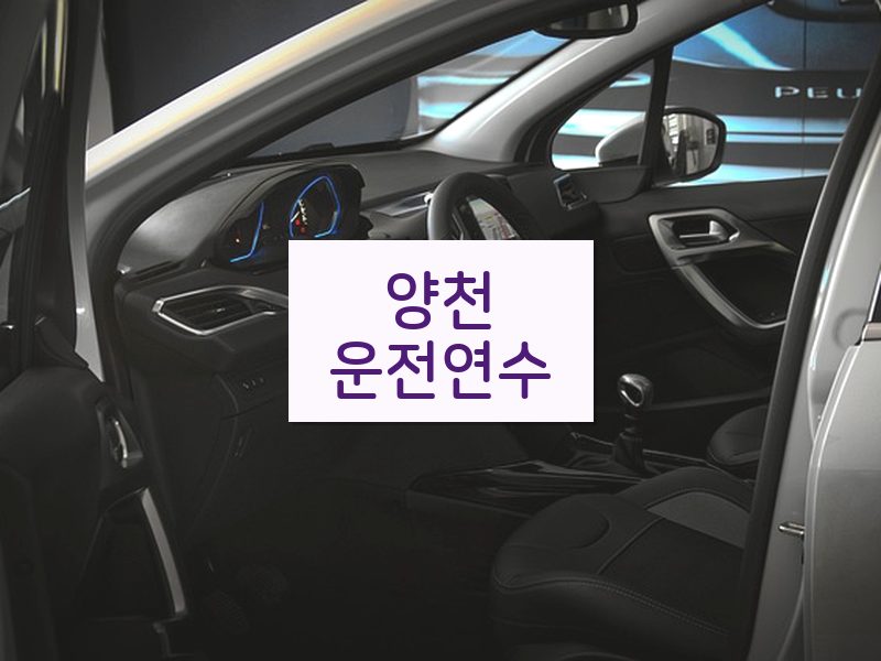양천운전연수 후기