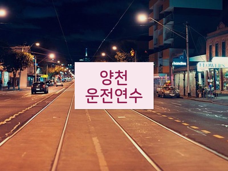 양천운전연수 후기