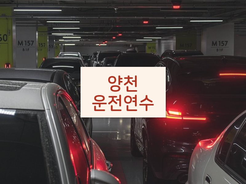 양천운전연수 후기