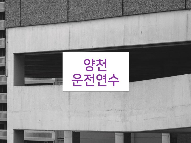 양천운전연수 후기