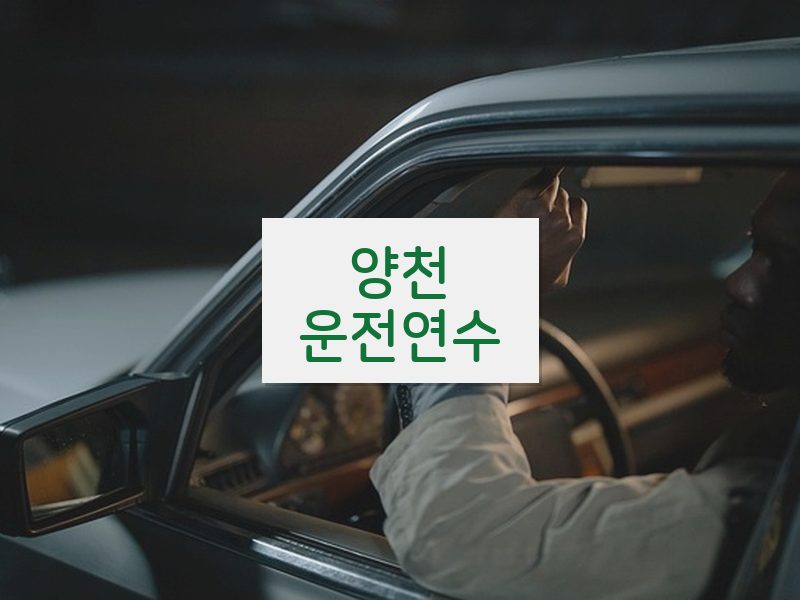 양천운전연수 후기