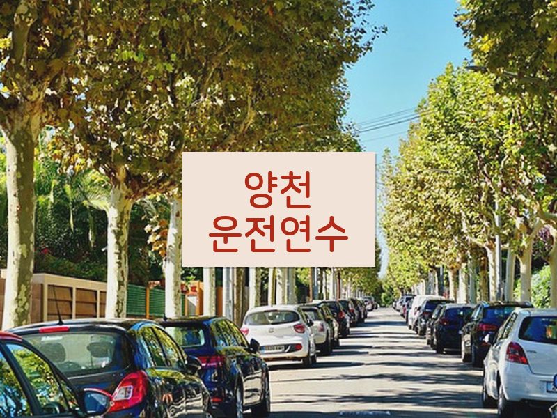 양천운전연수 후기