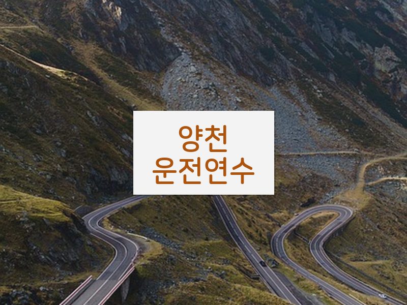 양천운전연수 후기