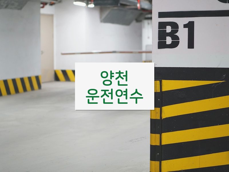 양천운전연수 후기