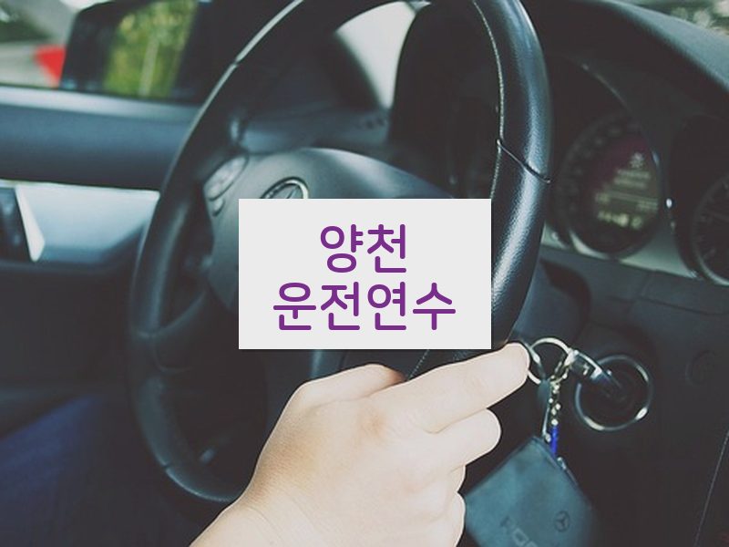양천운전연수 후기