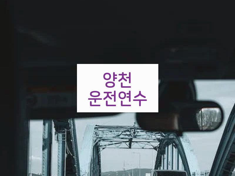 양천운전연수 후기