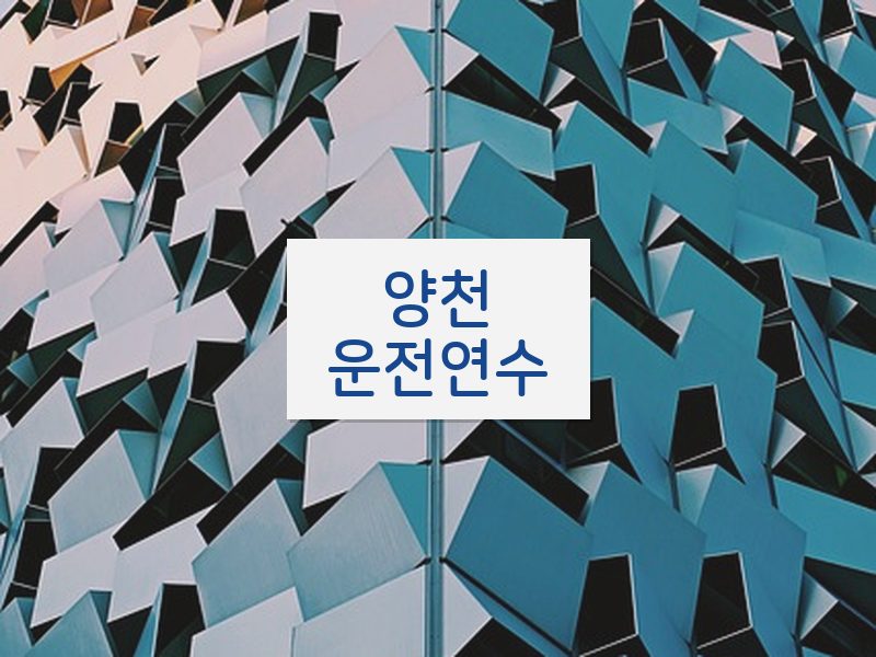 양천운전연수 후기