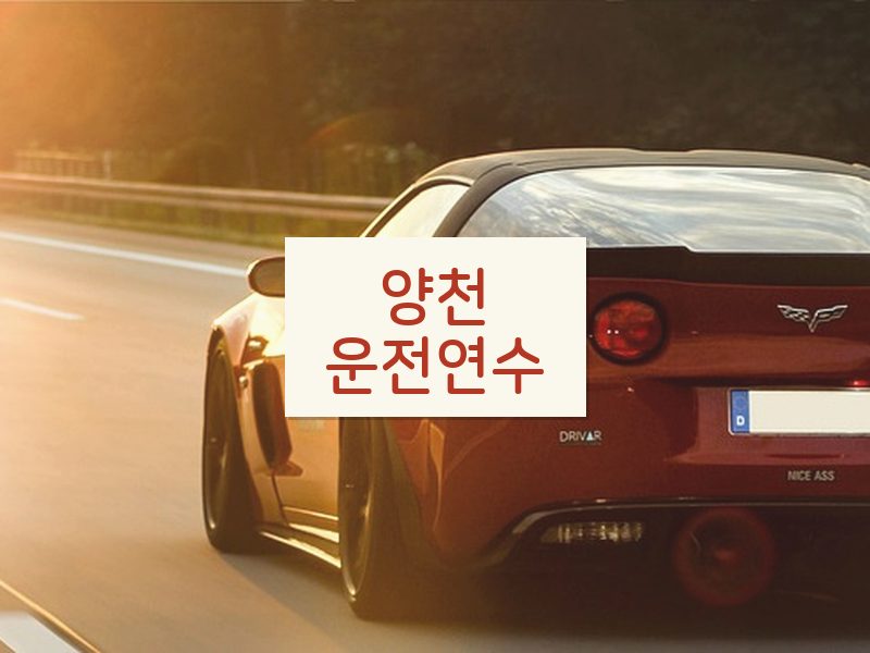 양천운전연수 후기