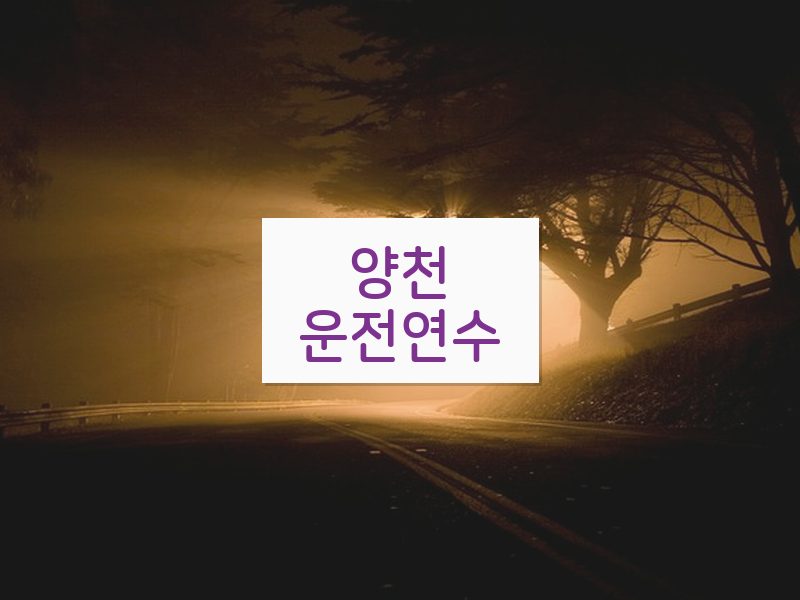 양천운전연수 후기