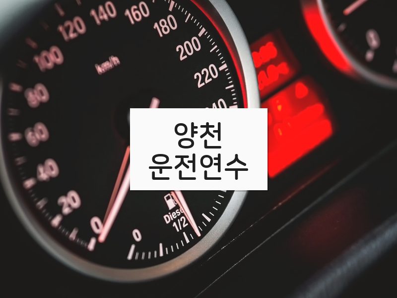양천운전연수 후기