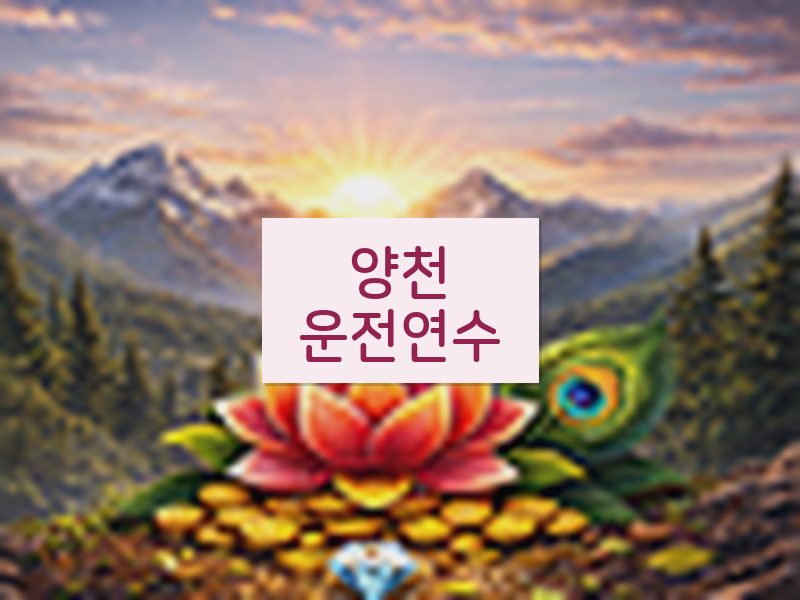 양천운전연수 후기