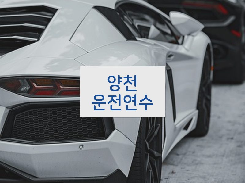 양천운전연수 후기